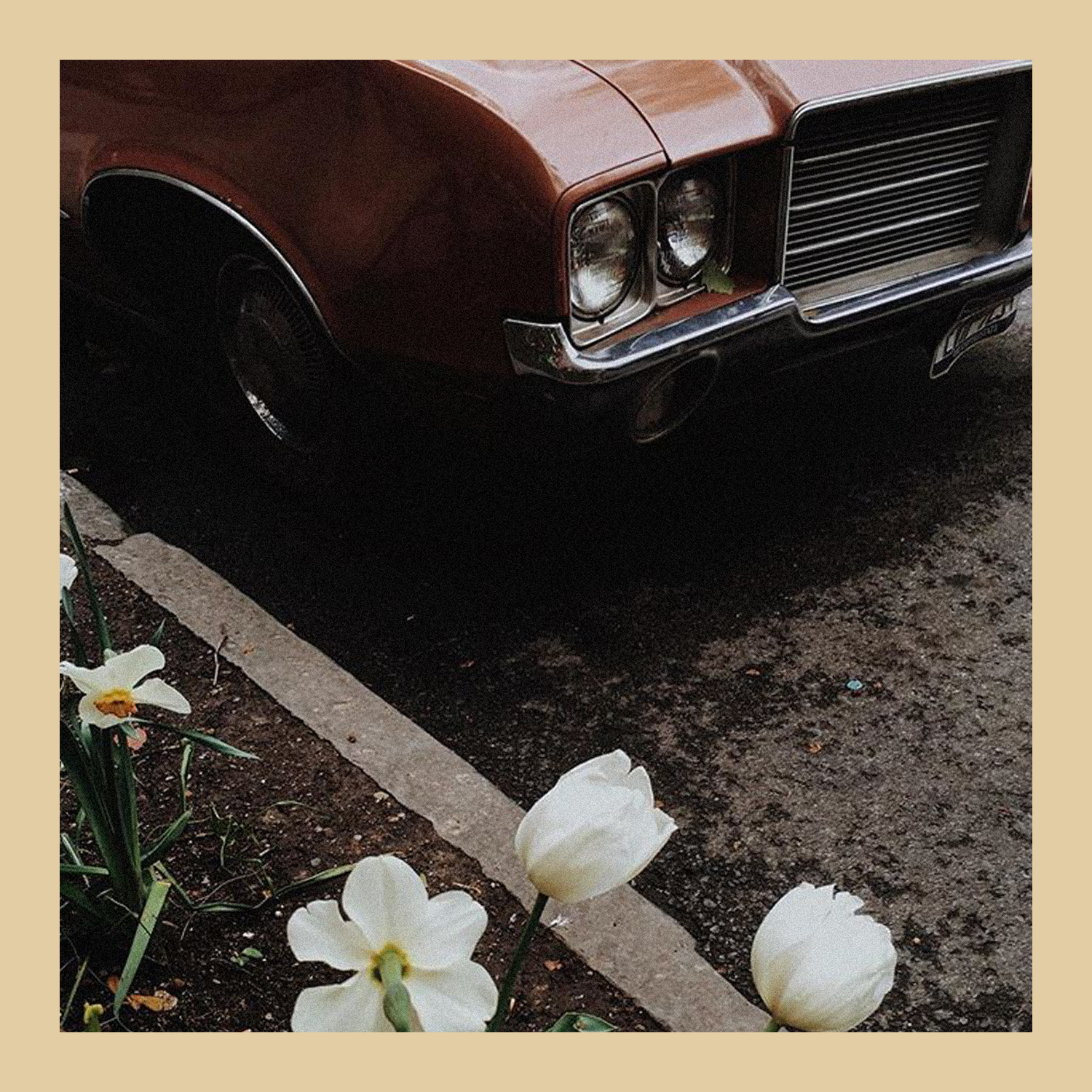 Soul Surplus - Port Rich Vol. 1